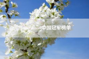 盘锦中国冠军榜单