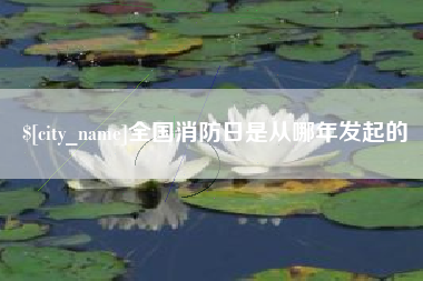 盘锦全国消防日是从哪年发起的