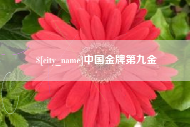 盘锦中国金牌第九金