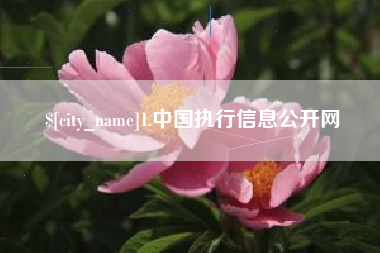盘锦1.中国执行信息公开网