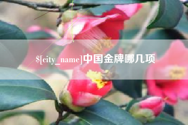 盘锦中国金牌哪几项