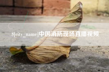 盘锦中国消防现场直播视频