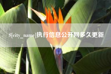 盘锦执行信息公开网多久更新