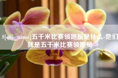 盘锦五千米比赛领跑员是什么-他们就是五千米比赛领跑员