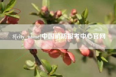 盘锦中国消防报考中心官网