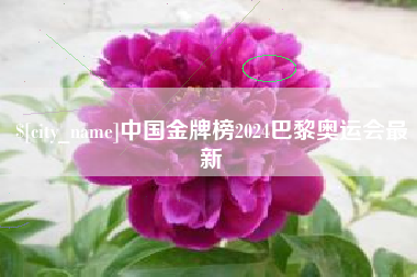 盘锦中国金牌榜2024巴黎奥运会最新