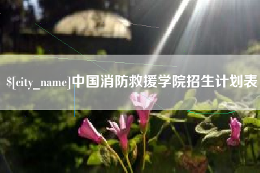 盘锦中国消防救援学院招生计划表