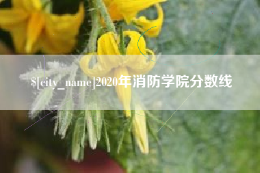 盘锦2020年消防学院分数线
