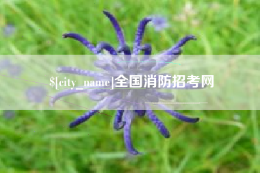 盘锦全国消防招考网