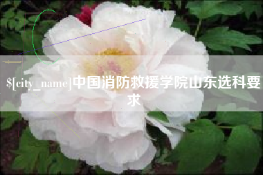 盘锦中国消防救援学院山东选科要求