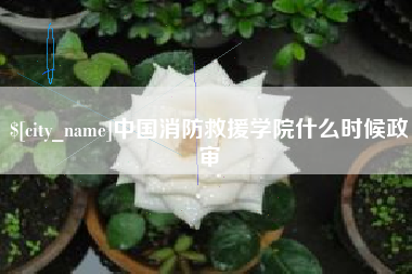 盘锦中国消防救援学院什么时候政审