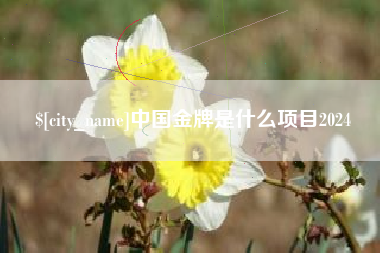 盘锦中国金牌是什么项目2024