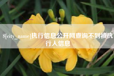 盘锦执行信息公开网查询不到被执行人信息