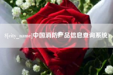 盘锦中国消防产品信息查询系统1
