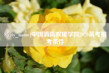 盘锦中国消防救援学院2020高考报考条件