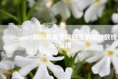 盘锦消防救援学院招生录取分数线2020福建