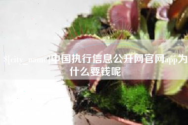 盘锦中国执行信息公开网官网app为什么要钱呢
