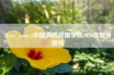 盘锦中国消防救援学院2021录取分数线
