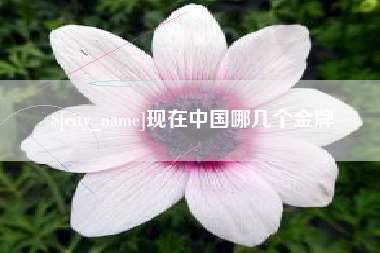 盘锦现在中国哪几个金牌