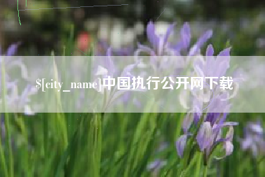 盘锦中国执行公开网下载