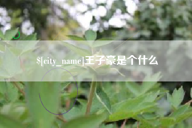 盘锦王子豪是个什么