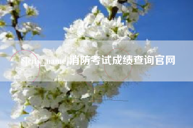 盘锦消防考试成绩查询官网