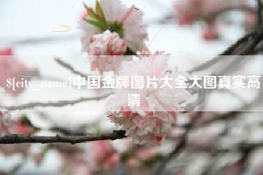 盘锦中国金牌图片大全大图真实高清