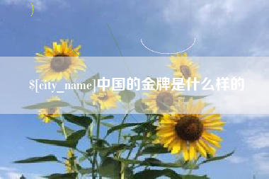 盘锦中国的金牌是什么样的