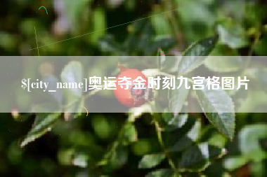盘锦奥运夺金时刻九宫格图片