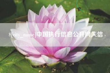 盘锦中国执行信息公开网失信