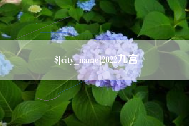 盘锦2022九宫