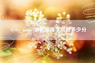 盘锦消防救援学院要多少分