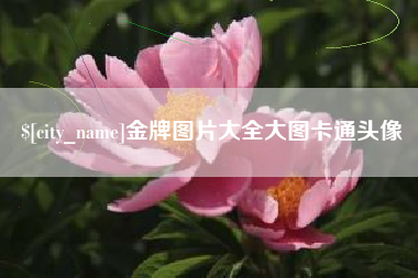 盘锦金牌图片大全大图卡通头像
