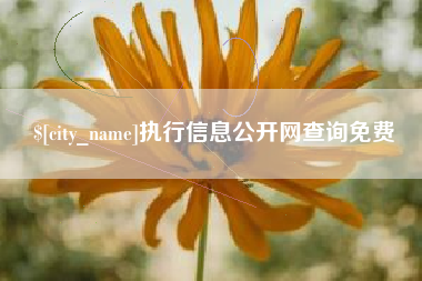 盘锦执行信息公开网查询免费